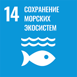 SDG 14 - Life Below Water
