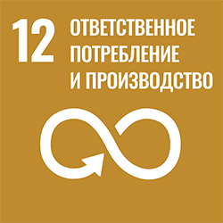 SDG 12 - Responsible consumption and production