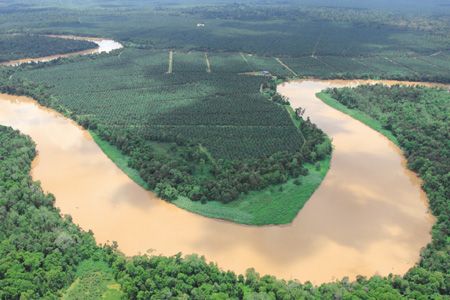 2006 - Природоохранный фонд о. Борнео