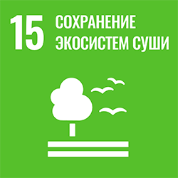 SDG 15 - Life on Land