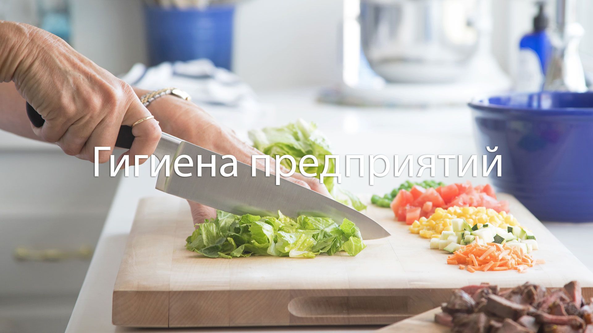 All the tools you need for Food Sanitation.