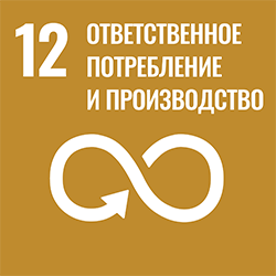 SDG 12 - Responsible Consumption and Production