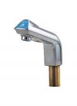 Yashinomi Premium Power