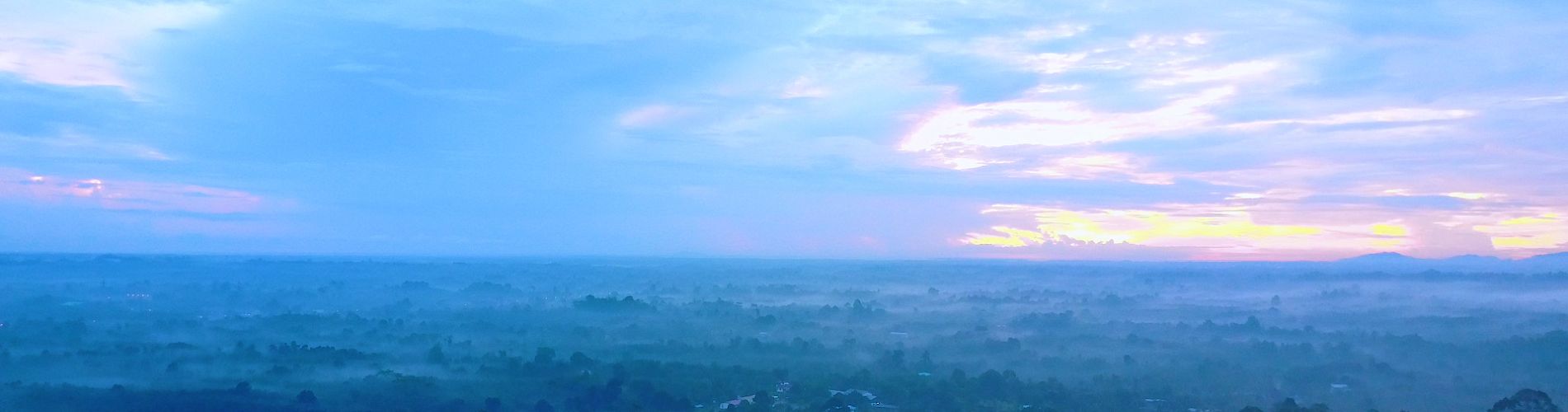 SARAYA helps in the conservation of the Borneo rainforests.