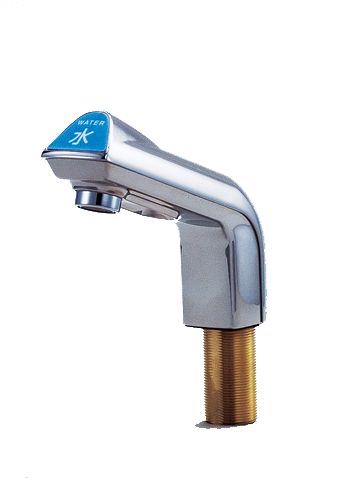 Lakanto S Granule 130g