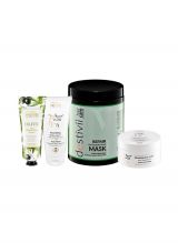 Yashinomi Premium Power